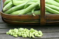 خواص باقالی برای سلامتی