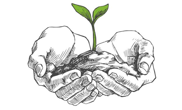 رازهایی درباره توسعه فردی