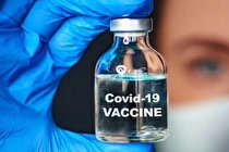 تولید واکسن گیاهی که از ابتلا به کرونا جلوگیری می کند