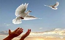 آزادی یک محکوم پس از 5 سال به همت شورای حل اختلاف یزد