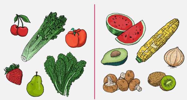 میوه و سبزی با طعم آفت کش! +عکس میوه و سبزی با طعم آفت کش! +عکس