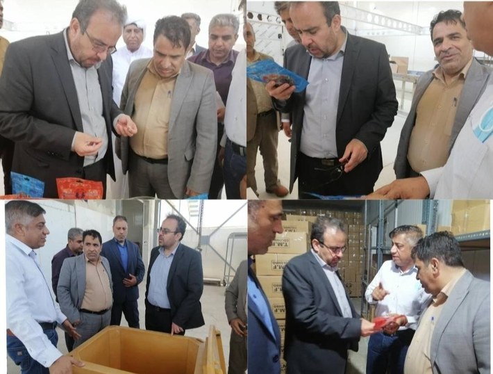 معاون وزیر و رئیس سازمان شیلات ایران و مدیرکل شیلات هرمزگان و جمعی از مسئولین استانی از شرکت شهاب نقره‌ای قشم بازدید کردند.