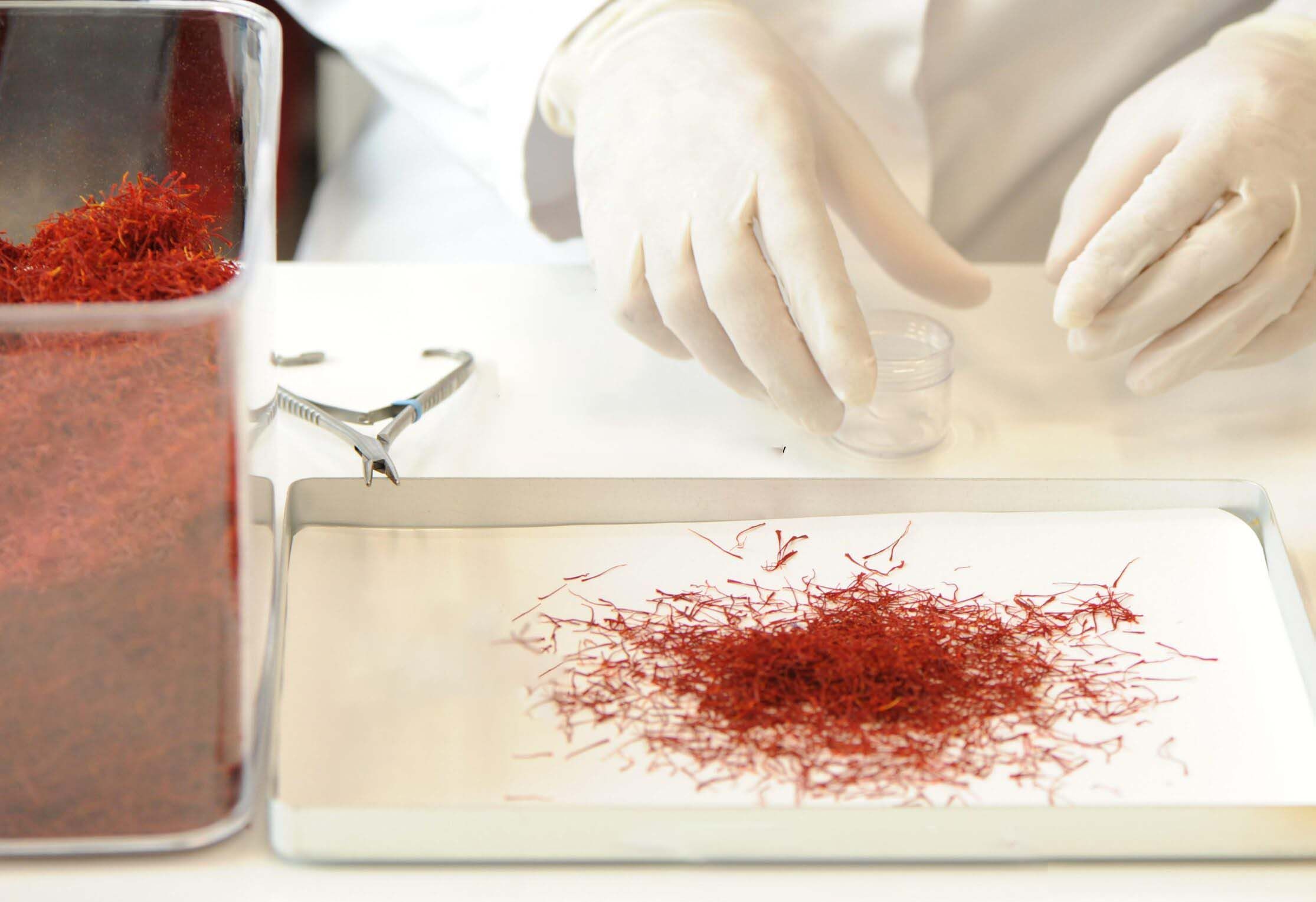 رازهای تشخیص زعفران اصل از تقلبی که باید بدانید!