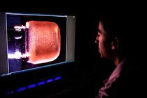 قلب مینیاتوری می‌تواند درمان بیماری‌های قلبی را متحول کند