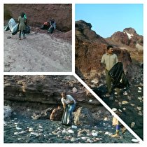 ساحل نقره ای جزیره هرمز پاکسازی شد