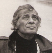 زخم یادگاری بر شاخه های شکسته زیتون