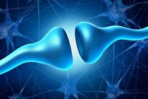 بی‌تفاوتی اولین علامت آلزایمر است