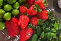 خواص باور نکردنی نوبرانه های بهار