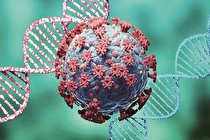 توانایی ۲ نوع فرعی جدید امیکرون برای فرار از آنتی‌بادی‌ها