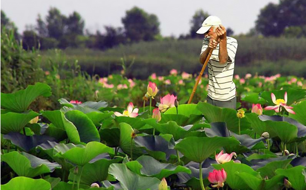 ۵ شهری که هر وقت بهشان سفر کنید ضرر نکرده‌اید