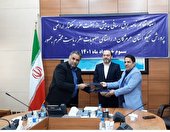 انعقاد تفاهم نامه برق رسانی به بیش از هفت هزار هکتار از اراضی پرورش میگو