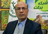 معرفی ۶۱۱ طرح کشاورزی استان به بانک کشاورزی