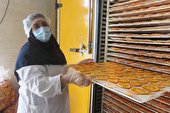 راهنمای خرید دستگاه میوه خشک کن در خط تولید میوه خشک