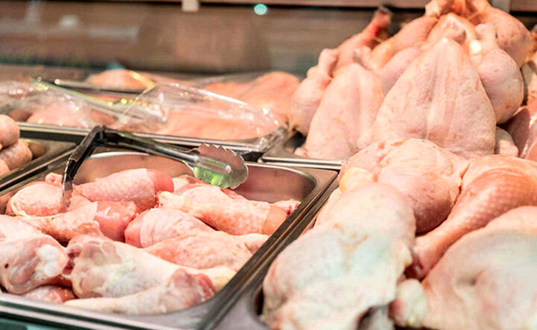 قیمت مرغ در بازار | قیمت مرغ کاهش یافت