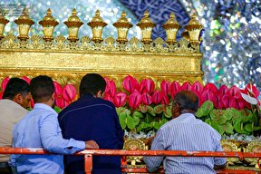 گزارش تصویری | گل‌ آرایی ضریح مطهر حرم امام علی (ع)