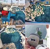 توقيف يك فروند قايق غیرمجاز پرساین متخلف در شرق جزیره هرمز