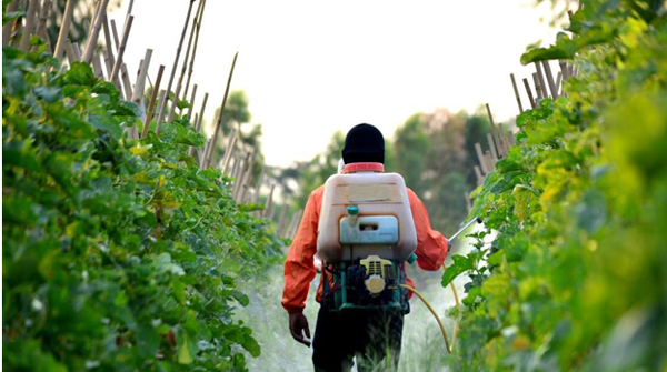 لباس کار محافظ در هنگام سمپاشی لباس کار محافظ در هنگام سمپاشی
