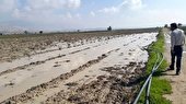 کشاورزان و دامداران نگران خسارت سیل نباشند