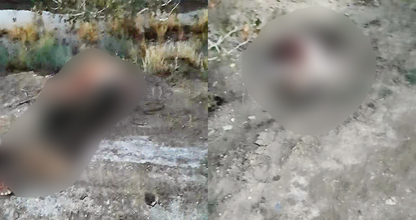 عکس | تراژدى عصر یکشنبه بهرمان عکس | تراژدى عصر یکشنبه بهرمان