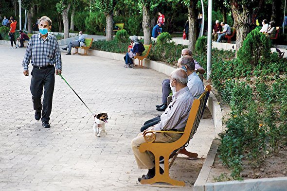 حقوق شهروندی زیرپای سگ گردان ها