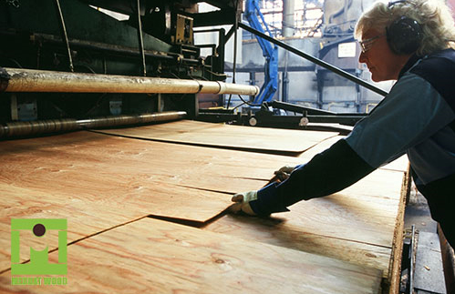 مقایسه تخته سه لا با الوار چوبی | کدام یک بهتر است