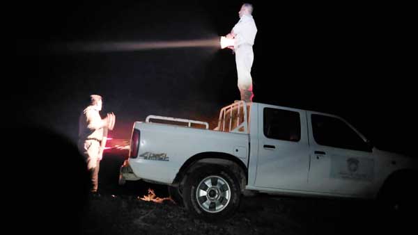 یوزپلنگها آسان میمیرند یوزپلنگها آسان میمیرند