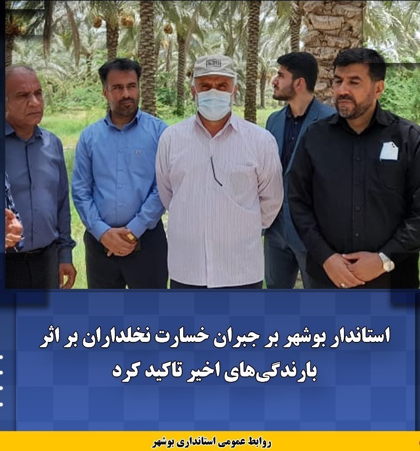 حمایت و پشتیبانی از نخلداران