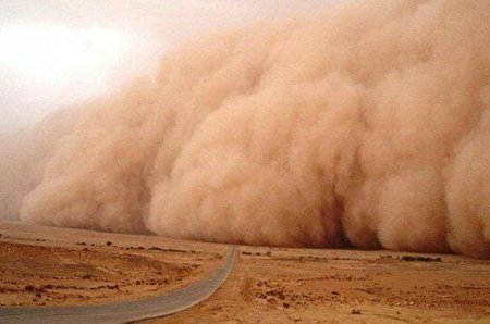 ببینید | جمع آوری گرد و غبار هوا با فرغون!