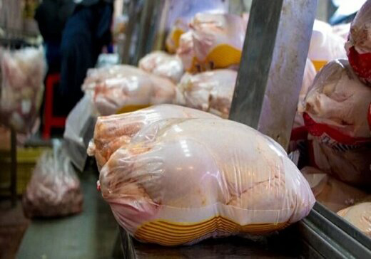 قیمت مرغ در بازار | قیمت مرغ ۲۴ مردادماه