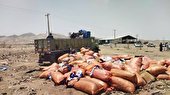 10 تن کالای غیرمجاز و غیراستاندارد در زاهدان امحاء شد