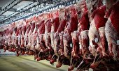 خرید حمایتی مباشرتی گوشت قرمز توسط شرکت های تعاونی کشاورزی دامداران شاهرود