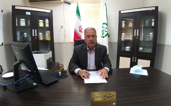 800میلیارد تومان خسارت مونسون به نخلداران