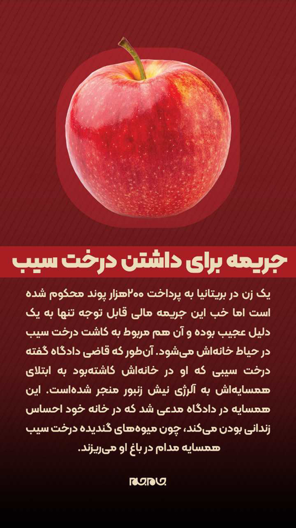 عکس نوشت | جریمه برای داشتن درخت سیب عکس نوشت | جریمه برای داشتن درخت سیب