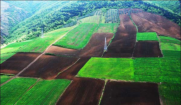 شیوع 75 نوع آفت در هیرکانی | منابعطبیعی و محیطزیست در خواب شیوع 75 نوع آفت در هیرکانی | منابعطبیعی و محیطزیست در خواب