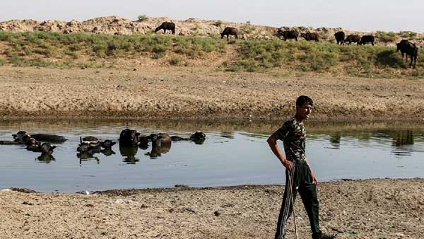 هورالعظیم تکه تکه میخشکد هورالعظیم تکه تکه میخشکد