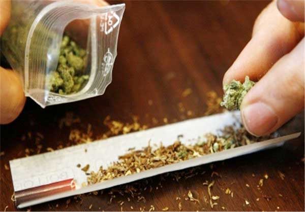 اعتیاد به نوجوانان نزدیک است |گل و حشیش رکورددار مصرف اعتیاد به نوجوانان نزدیک است |گل و حشیش رکورددار مصرف