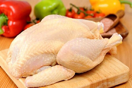 قیمت مرغ 