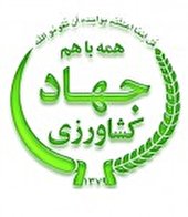 کشت یک هزارو 700 هکتار کلزا در همدان