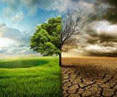 تغییر اقلیم و شکوفایی جلبکی