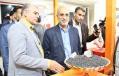تاکید استاندار کرمان برحضور فعال تر شرکت‌های دانش‌بنیان در حوزه‌های صنعتی