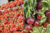 بهار گردشگری خراسان جنوبی