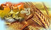 نیکوکاران یزدی 25 میلیارد تومان زکات پرداخت کردند