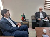 ایجاد شهرک انرژی خورشیدی در دشتستان