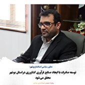 تحقق توسعه صادرات با ایجاد صنایع فرآوری کشاورزی