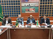 تعرفه صادرات گوجه‌فرنگی حذف یا تعدیل شود