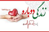اعضای بدن جوان 35ساله ناجی بیماران شد