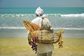 «اسپانک»؛ ستایشی از همنشینی با محیط‌‌ زیست