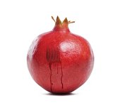 ببینید | فواید حجامت برای بدن افراد