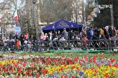 گزارش تصویری | سیزده بدر در پارک ملت