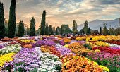 سایه برج‌سازی بر بزرگ‌ترین باغ گیاه‌شناسی کشور